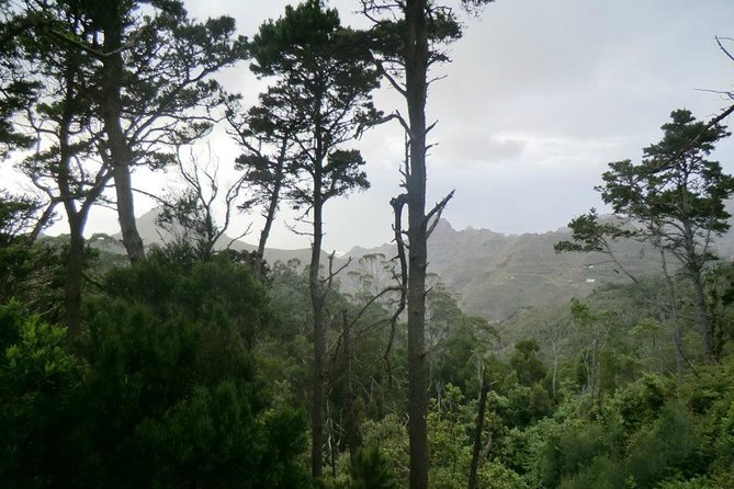 Small Group Guided Hiking in Anaga Rural Park in Tenerife - Entering Anaga Rural Park from Cafetería Carmita