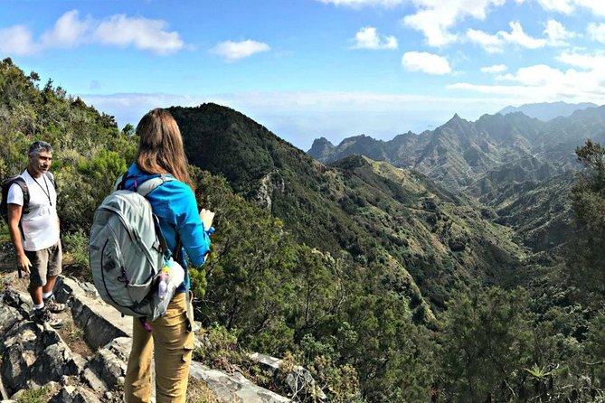 Small Group Guided Hiking in Anaga Rural Park in Tenerife - What to bring for a comfortable 3-hour hike