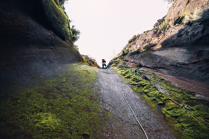 Small-Group Half-Day Canyoning in La Orotava - Briefing, equipment check, and learning progression before you rappel
