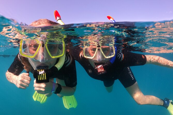 Small Group Snorkeling in Abades Bay with Licensed Guide - Gear fitting and the safety talk that keeps things simple