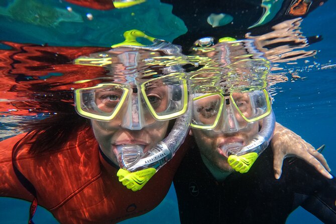 Small Group Snorkeling in Abades Bay with Licensed Guide - What the small group size changes in real life