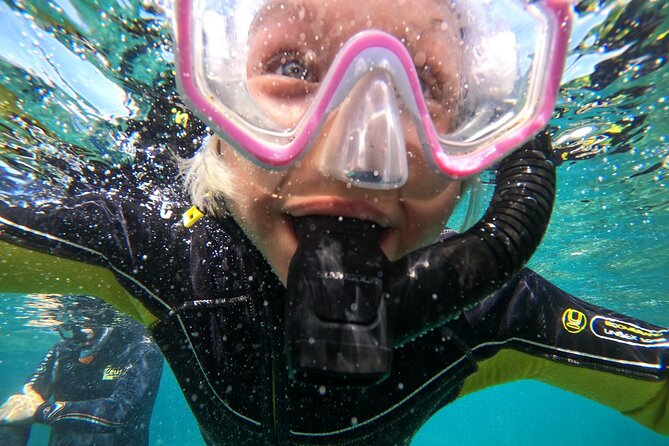 Small Group Snorkeling in Abades Bay with Licensed Guide - Price and value: what $69.79 covers, and what to budget for