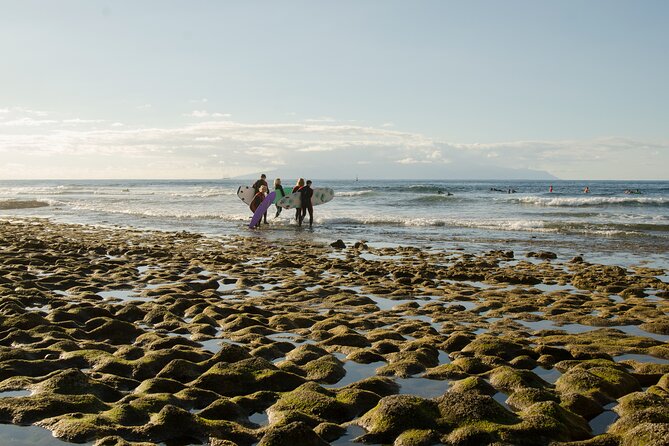 Small Group Surf Lesson in Playa de las Americas - In-Water Tips: From First Success to More Waves