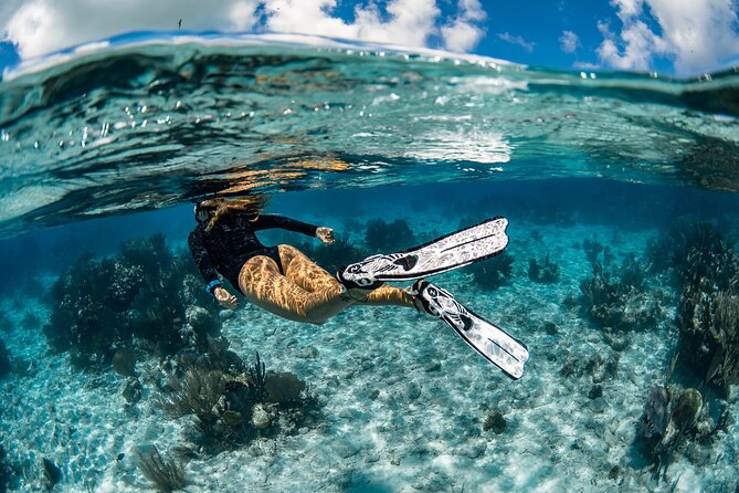 Snorkel Rental 24h, discover Tenerifes Ocean on your own! - Key reasons this snorkel rental works well in Tenerife