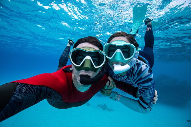 Snorkel Rental 24h, discover Tenerifes Ocean on your own! - 24 Hours of Snorkel Gear, Starting in Radazul