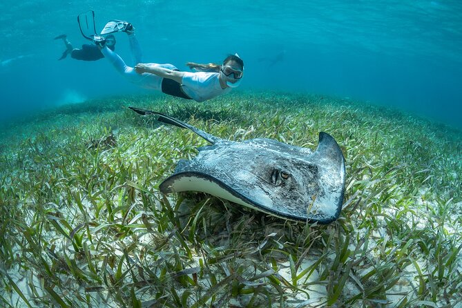 Snorkel Rental 24h, discover Tenerifes Ocean on your own! - Pickup and the first 30 minutes you should get right