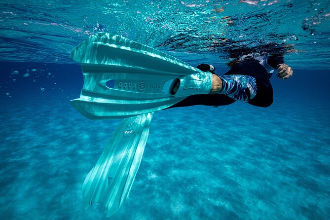 Snorkel Rental 24h, discover Tenerifes Ocean on your own! - The included gear that makes snorkeling actually doable