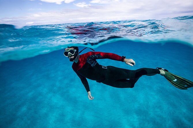 Snorkel Rental 24h, discover Tenerifes Ocean on your own! - Price and value: why $22.64 can be a strong deal