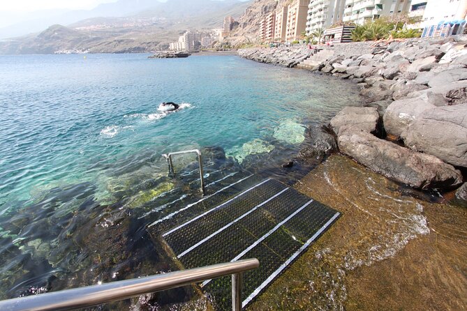 Snorkel Rental 24h, discover Tenerifes Ocean on your own! - Who this snorkeling rental suits best in Tenerife