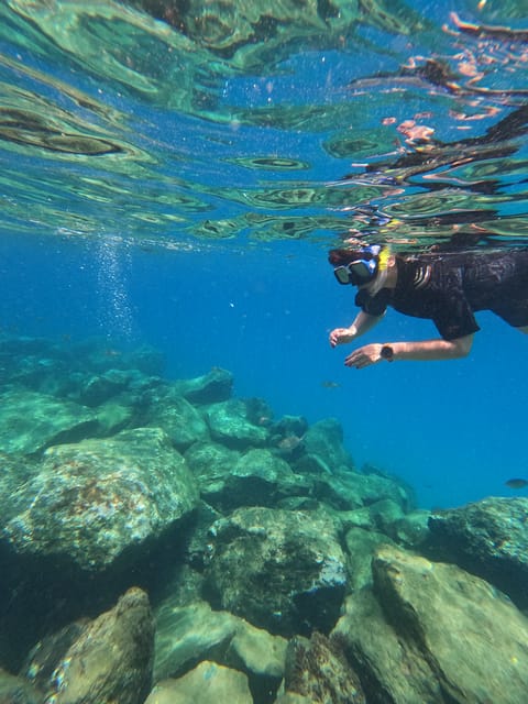 Snorkeling Boat Trip in Marine Turtles Natural Habitat - Key things to know before you go