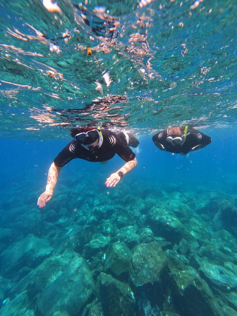 Snorkeling Boat Trip in Marine Turtles Natural Habitat - The speed-boat ride: views, timing, and why it matters for turtles