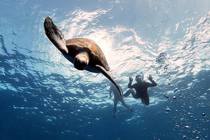 Snorkeling excursion in the Rayas and Turtles Zone - Key Things I’d Plan Around