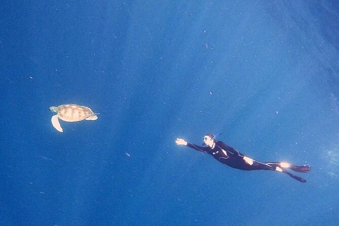 Snorkeling excursion in the Rayas and Turtles Zone - Snorkeling in Tenerife’s Rayas and Turtles Zone