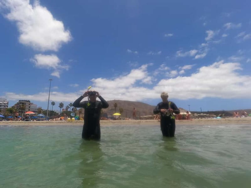 Snorkeling in tenerife south: Discover the underwater world - Quick hits: what you’ll notice right away