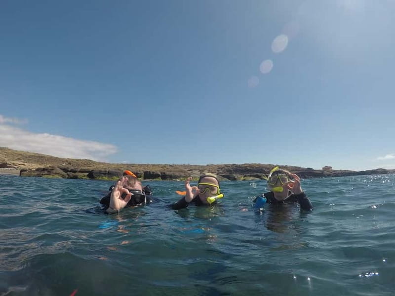 Snorkeling in tenerife south: Discover the underwater world - The snorkeling zone: reef watching without the stress