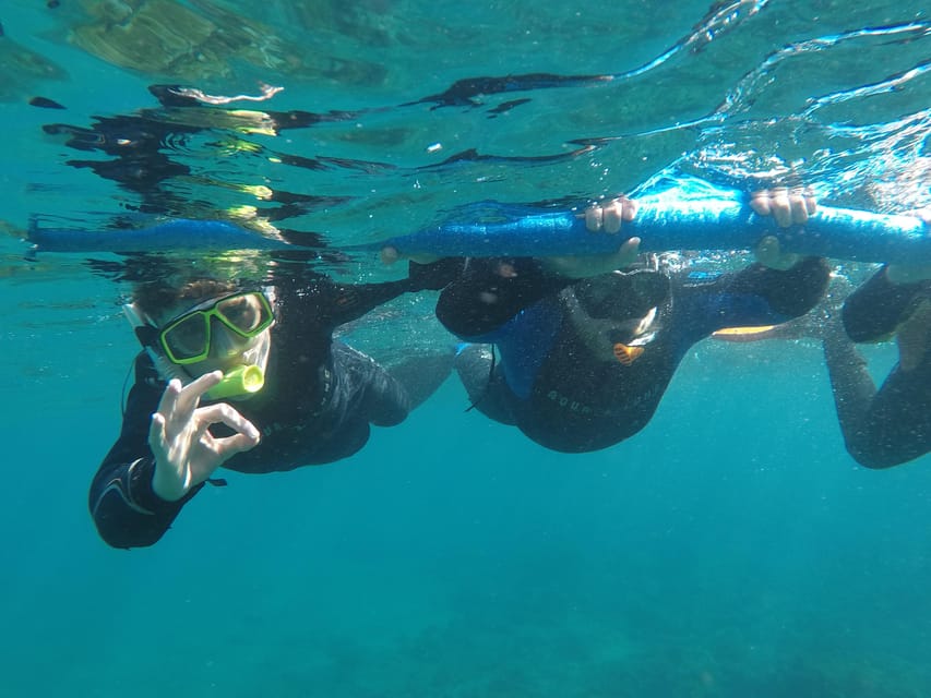 Snorkeling in tenerife south: Discover the underwater world - Marine life and conservation: what you should practice while snorkeling