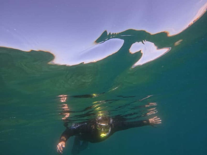 Snorkeling in tenerife south: Discover the underwater world - Stop 3 back at Hotel GF Isabel: finishing calmly