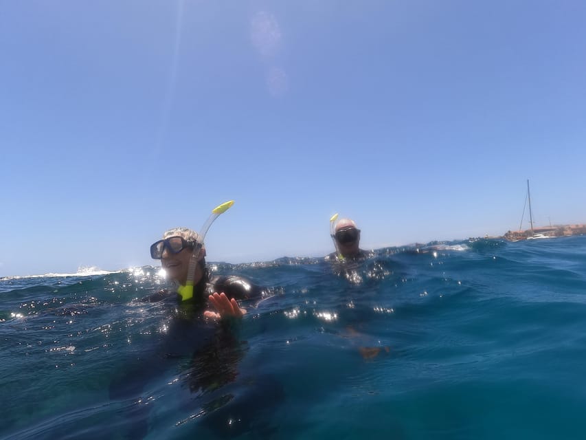 Snorkeling in tenerife south: Discover the underwater world - Included essentials vs. what you must bring