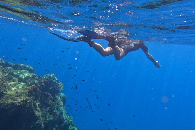 Snorkeling with a Professional Instructor in Tenerife - Who should book this Tenerife snorkeling experience