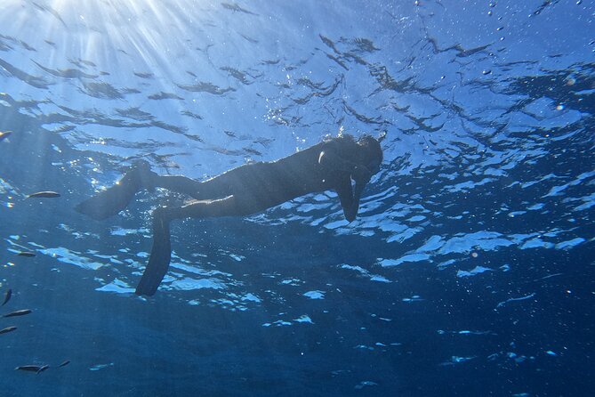 Snorkeling with a Professional Instructor in Tenerife - Before the water: the 30 to 40 minute briefing that builds confidence