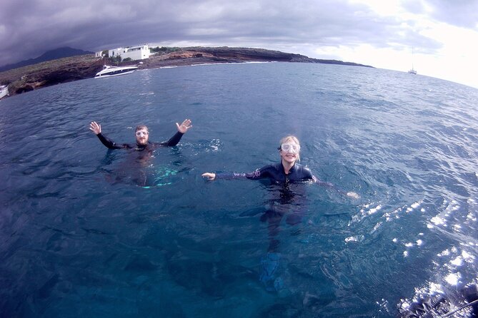 Snorkelling safari in a turtle area - Your Small-Group Snorkelling Safari: The Overall Flow