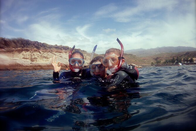 Snorkelling safari in a turtle area - Timing and Duration: Two Hours Goes by Quick