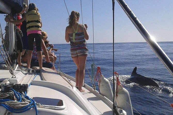 South Coast Tenerife Cruise - How the Stop Near Puertito Armeñime Works