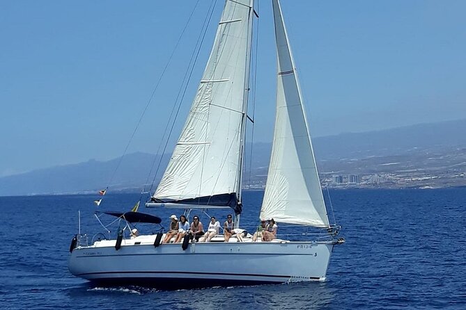 South Coast Tenerife Cruise - Price and Value for $66.54 on a 3-Hour Sail