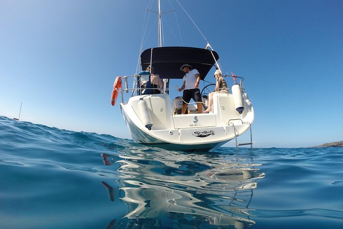 South Coast Tenerife Cruise - Whale and Dolphin Watching, Plus the Swim Break