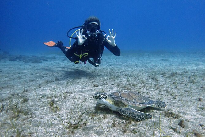 South of Tenerife : DSD Scuba Diving for beginners, Adeje - Key things to know before you go