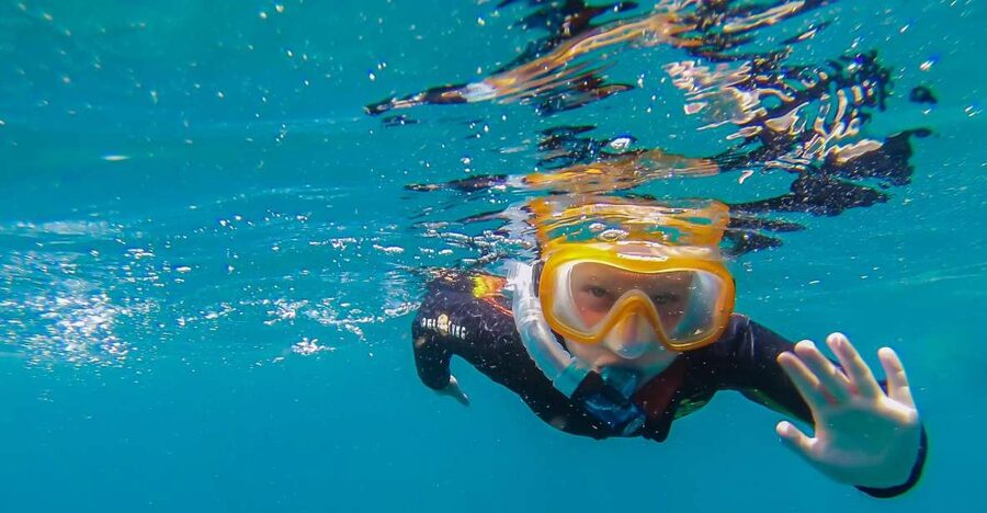 South Tenerife: Guided Snorkeling - Your 2-hour block: what really happens from pickup to drop-off