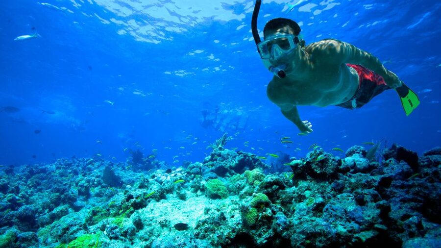 South Tenerife: Guided Snorkeling - Suit up: the wetsuit and neoprene booties are not just for warmth