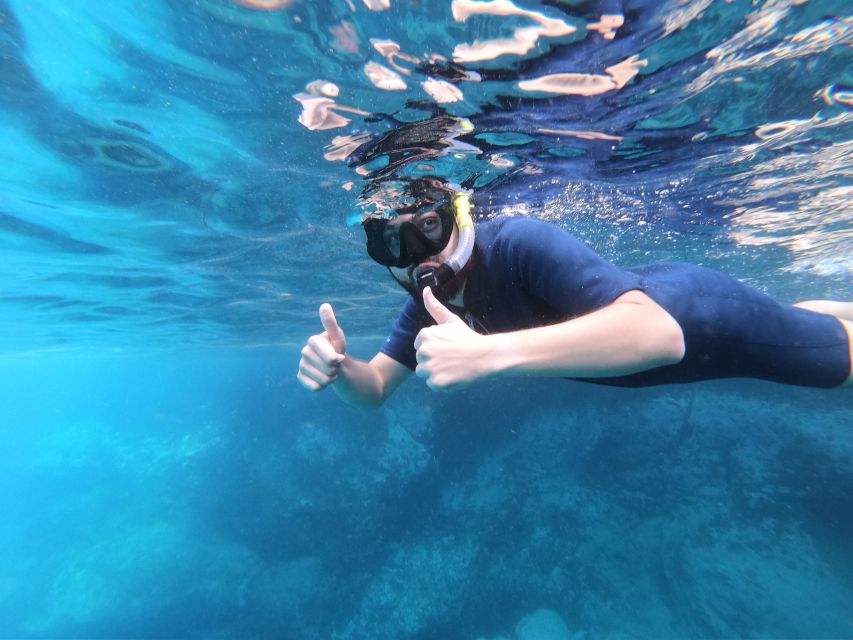 South Tenerife: Guided Snorkeling - Instructor support, and why names like Jose and Mate show up in good reviews