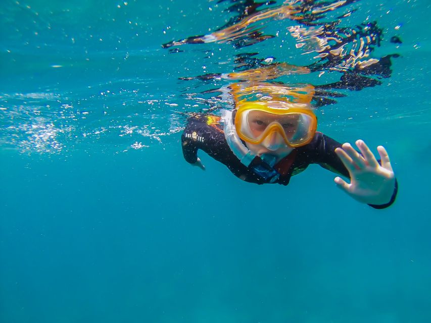 South Tenerife: Guided Snorkeling - Shore snorkeling off Tenerife: why “from the beach” is a big deal