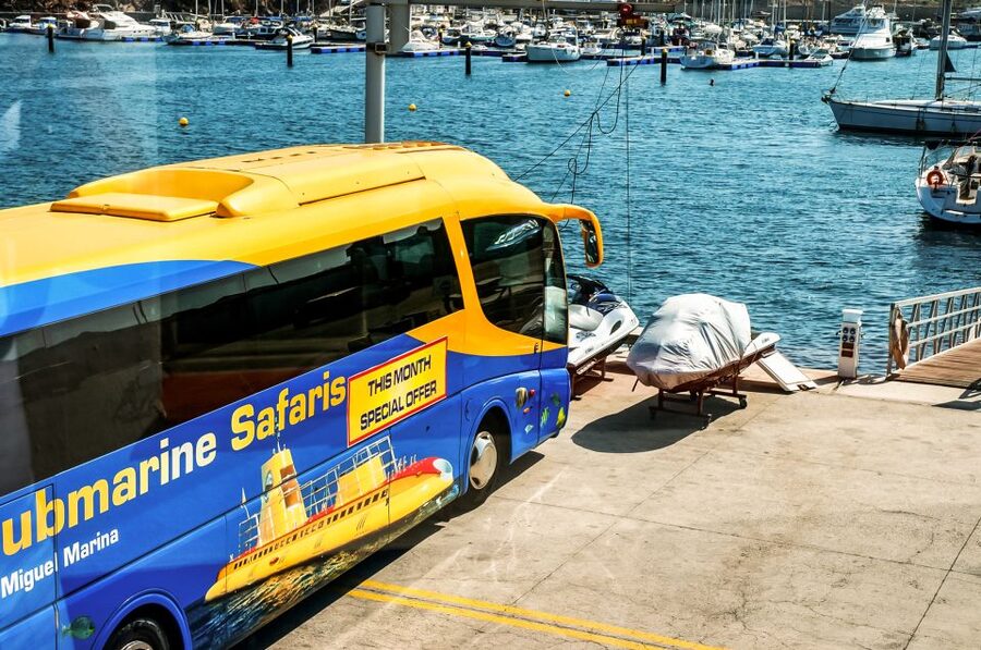 Southern Tenerife: 50-Minute Submarine Dive - Key Things That Make This Submarine Ride Worth Your Time