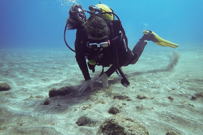 SSI basic diver In Tenerife - 2 Dives - Tenerife Basic Scuba Training That Starts in El Médano