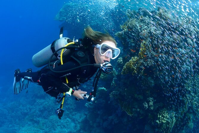 SSI Open Water Diver Course in Tenerife - Tenerife SSI Open Water Diver Certification, Packed Into 3 Days