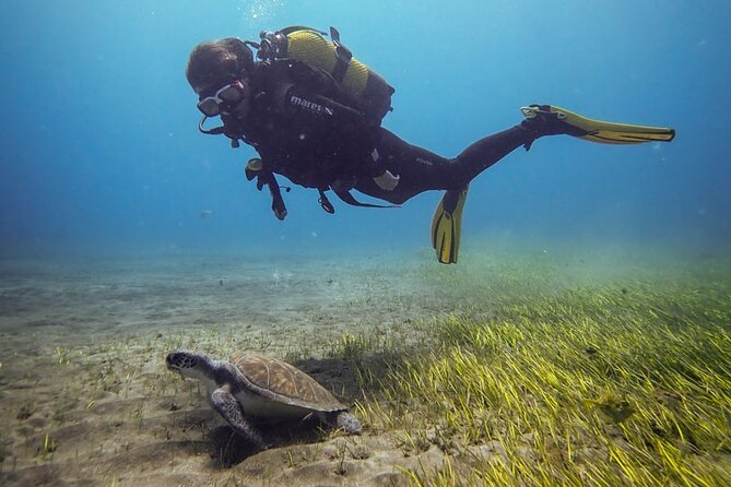 SSI Open Water, South Tenerife - Key things I’d bet on before you book