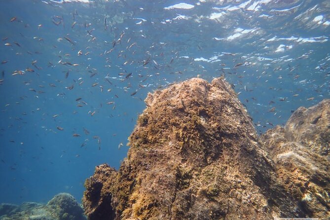 SSI Open Water, South Tenerife - Where you go underwater: Tenerife sites, not cookie-cutter routes