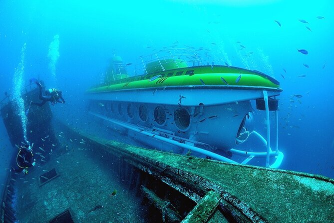 Submarine tour Tenerife: a 1 hour underwater experience - The Sea-Floor Stop and Why the Diver Feeding Matters