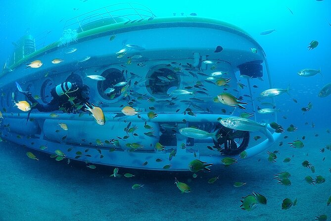 Submarine tour Tenerife: a 1 hour underwater experience - Submarine Layout, Audio Guide, and How to Get the Best Views
