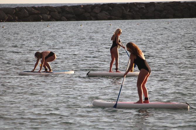 sunset stand up paddle - Meeting point: P.º Veracruz and the easiest way to arrive