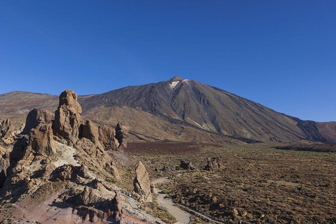 Teide 1/2 Day - Price and value: is $59.41 a fair deal?