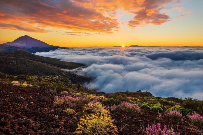 Teide 1/2 Day - Practical tips to make your day smoother