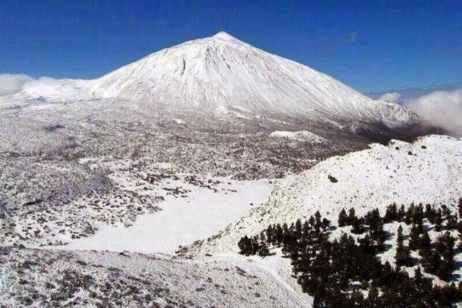 Teide 1/2 Day - Teide National Park: 3 hours of lava, craters, and canyons