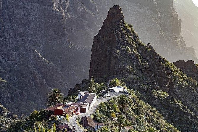 Teide-Icod-Garachico-Masca (Most popular bus tour in Tenerife) - Stop 2: El Drago Milenario in Icod de los Vinos