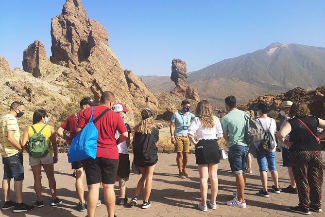 Teide National Park - Teide Cable Car stop: summit station views, optional higher access