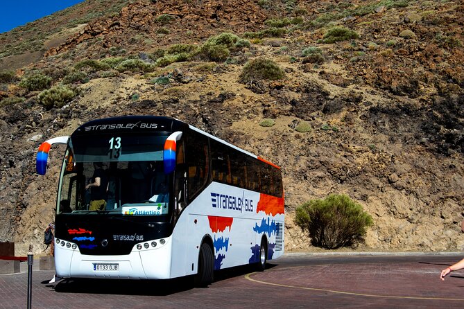Teide National Park - Los Roques de García: iconic pinnacles with included admission