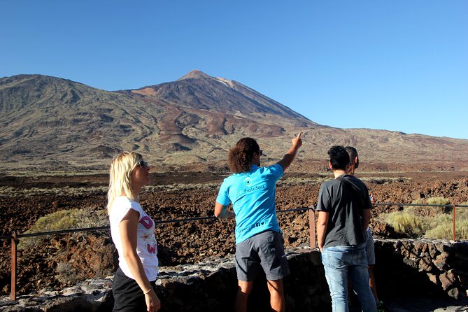 Teide National Park Exclusive and private Tour - El Pino Gordo: The Giant Pine Moment