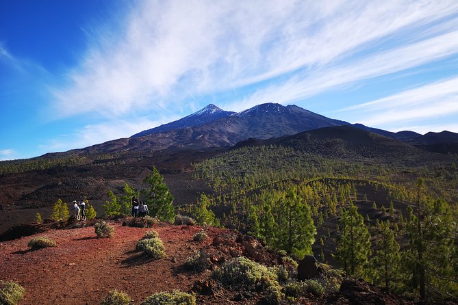 Teide National Park for smaller groups - Why a Small-Group Teide Tour Makes Sense